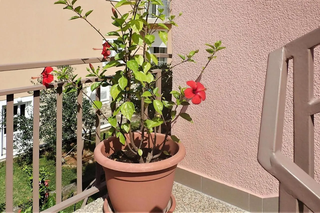 Apartment Pink In Starigrad Paklenica Only 200 M From The Sea